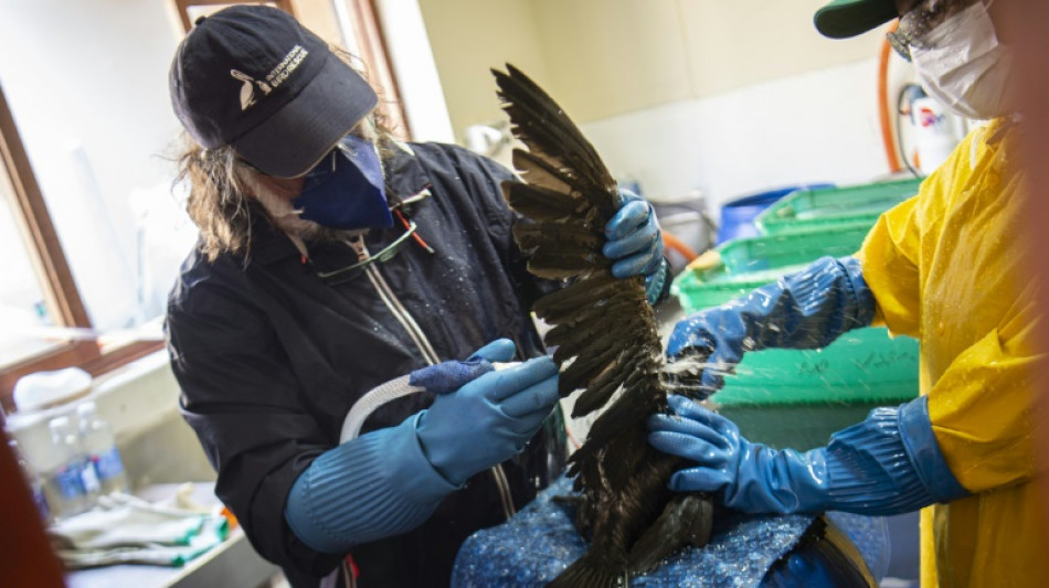 Repsol reclama a un buque italiano por el derrame petrolero en Per&uacute;