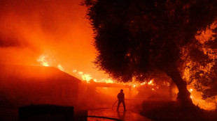 Los hidrantes de Los &Aacute;ngeles se secan en combate contra las llamas