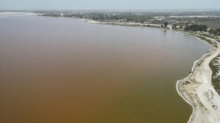Au S&eacute;n&eacute;gal, le lac Rose retrouve sa couleur mythique et ses touristes ravis