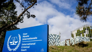 Detener a los responsables de los cr&iacute;menes m&aacute;s graves, ardua tarea de la CPI
