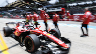 F1: Leclerc 'buona giornata a Sepang, valori in campo molto ravvicinati'