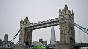 Climat: Extinction Rebellion cible Tower Bridge &agrave; Londres