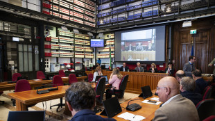 Paletti FI alla stretta su cittadinanza della Lega, 'esclusi reati colposi e minori'