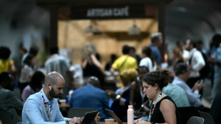 Sin energía fósil, incluso países como Francia "sufrirán", dice el negociador ruso en la COP