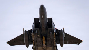 Trump: Zweites Crew-Mitglied von abgeschossenem US-Kampfjet im Iran gerettet