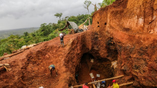 Nicaragua entrega nueva concesi&oacute;n minera a empresa china