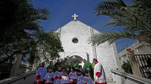++ Lincei, premio Feltrinelli alla parrocchia 'Sacra Famiglia' di Gaza ++