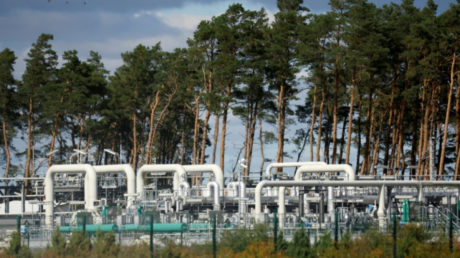 Gr&uuml;ne fordern von Bundesregierung "Schlussstrich" unter Nord Stream