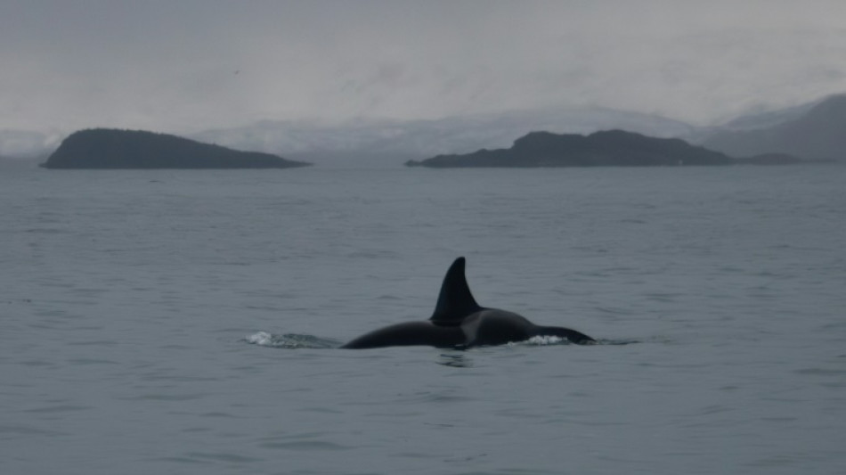 La cumbre de los oc&eacute;anos de Niza se termina con acuerdos pero sin financiaci&oacute;n clara