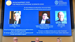 Nobel economist warns of AI dangers