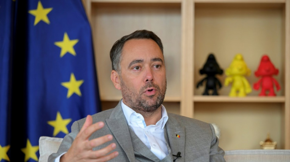 Seizing Russian assets would risk 'terrible systemic shock' to euro: Belgian FM