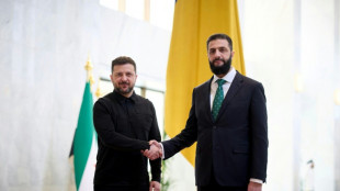Selenskyj trifft syrischen &Uuml;bergangspr&auml;sidenten al-Scharaa in Damaskus