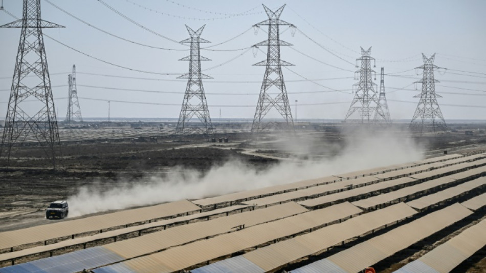 Du charbon au renouvelable, le magnat indien Adani au d&eacute;fi de la diversification de sa fortune
