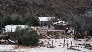 Il Cile dichiara allerta sanitaria per hantavirus dopo le piogge, 18 morti nel 2026