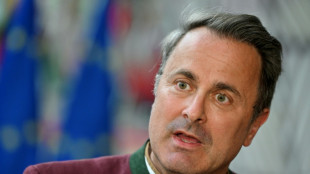 Pa&iacute;ses de la UE mantienen dudas sobre elevar el catal&aacute;n, el gallego y el vasco a idiomas oficiales