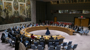UN-Sicherheitsrat "zutiefst besorgt" nach Vorfall mit Dutzenden Toten in Gaza