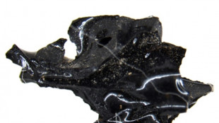 Una nube provocada por una erupci&oacute;n volc&aacute;nica convirti&oacute; en vidrio el cerebro de un hombre