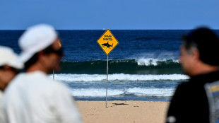 Un tibur&oacute;n mata a un surfista en una playa de Australia