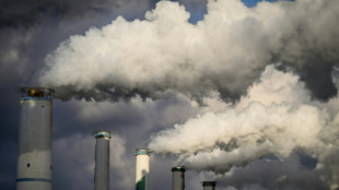 Südkorea will keine neuen Kohlekraftwerke mehr bauen