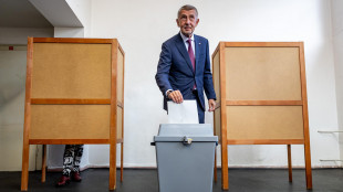 Primi risultati elezioni in Repubblica Ceca, Babis in testa