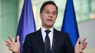 Rutte, 'Cina &egrave; il maggior partner di Mosca, la guerra va avanti per il suo sostegno'