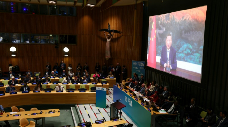 Climat: Xi d&eacute;fend le solaire et l'&eacute;olien, en contre-pied de Trump