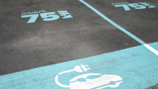 Automobile: les ventes d'&eacute;lectriques ont rebondi en Europe en septembre