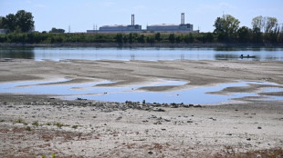 Hungary to shut nuclear plant as heatwave hits central Europe