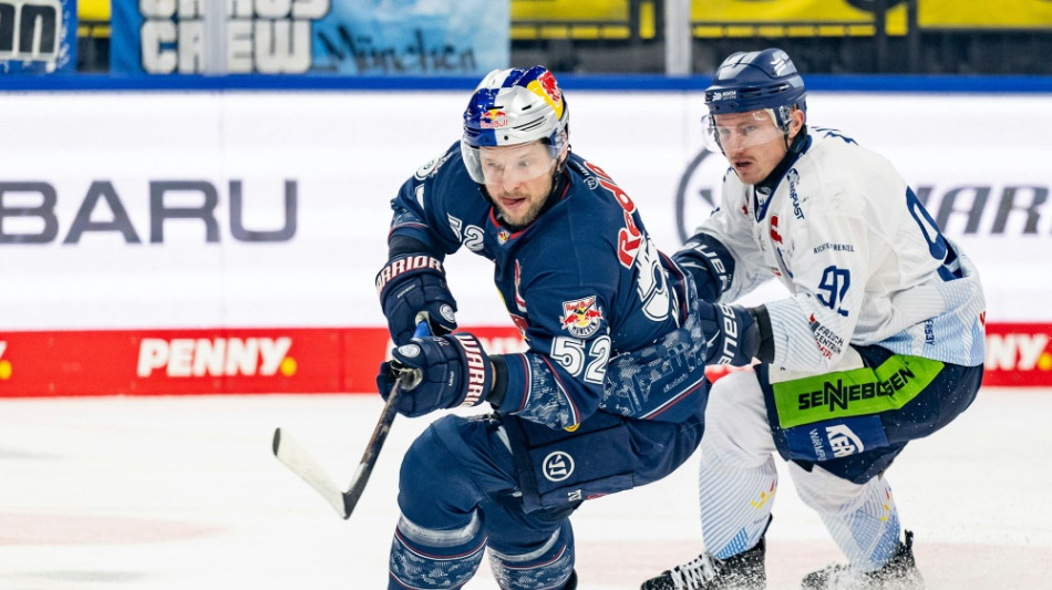 DEL: Straubing verliert erneut - K&ouml;ln siegt im Klassiker