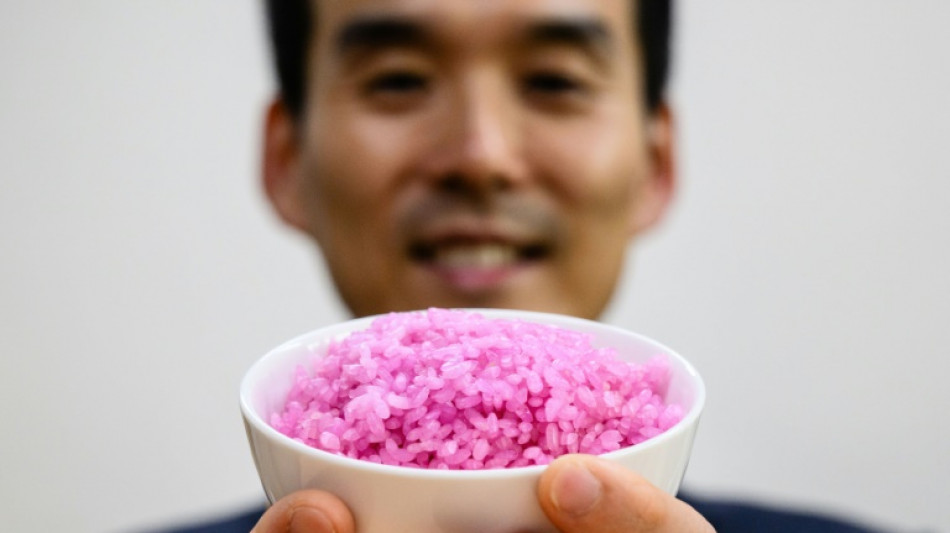 Científicos surcoreanos crean "arroz carnoso" con alto contenido de proteínas