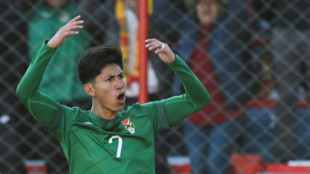 Sem artilheiro Terceros, Bol&iacute;via anuncia convocados para jogos contra Equador e Paraguai