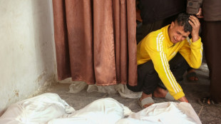 Gaza: les n&eacute;gociations sur la tr&ecirc;ve ont d&eacute;but&eacute; &agrave; Doha