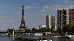 Fallschirmsprung vom Eiffelturm endet mit Festnahme