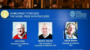 Le Nobel de physique r&eacute;compense un trio pour la d&eacute;couverte de "l'effet tunnel" dans la m&eacute;canique quantique 