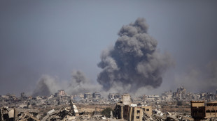 Hamas, serve più tempo per studiare il piano di Trump