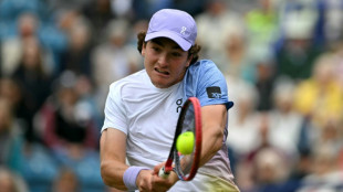 Jo&atilde;o Fonseca &eacute; eliminado em jogo adiado contra Fritz no ATP 250 de Eastbourne