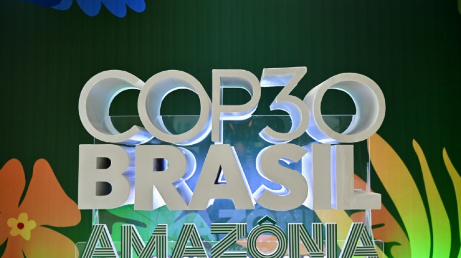 Anfitrión de la COP30, Brasil exhibe buenas notas en materia climática