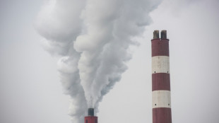 Veto de China al carb&oacute;n permite cerrar 15 plantas, pero otras 18 siguen adelante