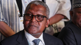 Dangote s'appr&ecirc;te &agrave; lancer une "introduction en bourse pour le peuple", la plus importante d'Afrique