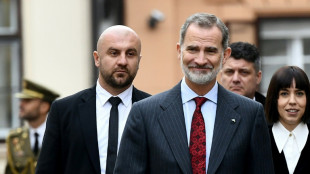 El rey de Espa&ntilde;a presenciar&aacute; el primer partido de la Roja en Catar