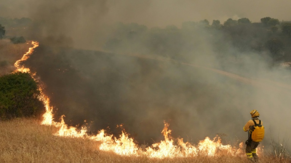 Quase 260.000 deslocados por inc&ecirc;ndios que assolam Espanha e Fran&ccedil;a