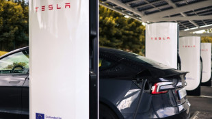 Tesla reports lower car sales but figures better than feared