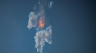 Starship-Riesenrakete wurde von SpaceX bei Testflug zerstört