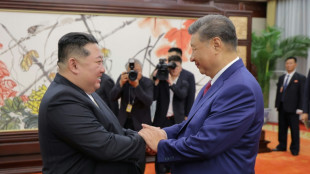 China's Xi to visit North Korea next week 
