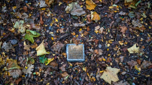Aupr&egrave;s de leur arbre, ils go&ucirc;tent au repos &eacute;ternel