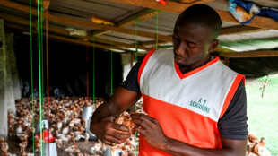 Loin d'Abidjan, des jeunes choisissent d'entreprendre dans l'ouest rural de la Côte d'Ivoire