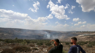 Israeli settlers attack European diplomats, beat French mayor