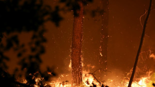 Incendie dans les Landes: reprise de feu nocturne, avant une m&eacute;t&eacute;o plus "favorable"
