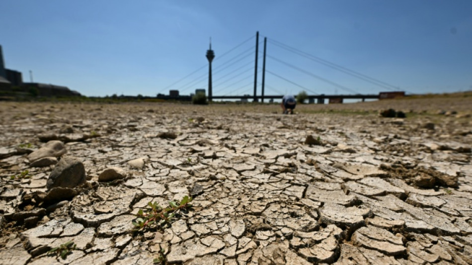 Face &agrave; l'ass&egrave;chement de ses cours d'eau, l'Allemagne divis&eacute;e entre ing&eacute;nierie et respect de la nature