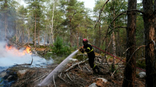 Fontainebleau: le combat contre le feu continue, un pompier &eacute;crou&eacute;, Macron attendu jeudi